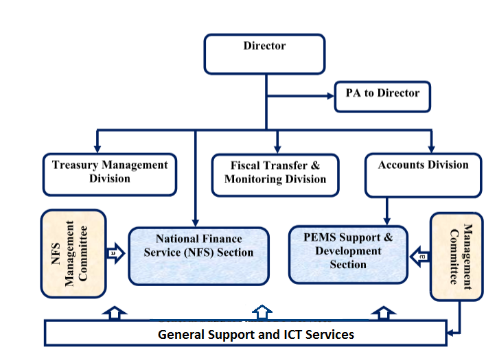 Finance Department Organizational Chart And Duties